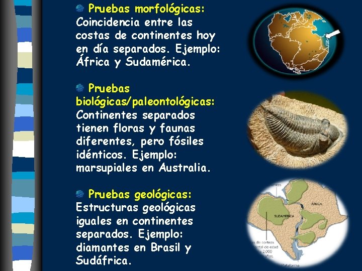 Pruebas morfológicas: Coincidencia entre las costas de continentes hoy en día separados. Ejemplo: África