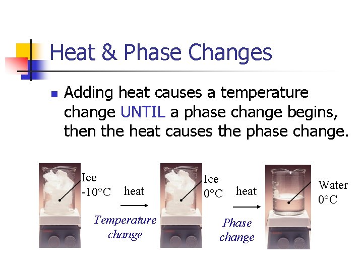 Heat & Phase Changes n Adding heat causes a temperature change UNTIL a phase