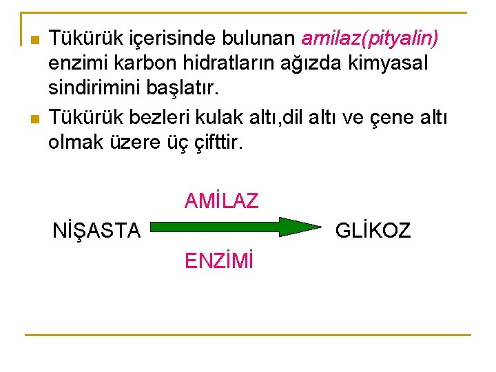 n n Tükürük içerisinde bulunan amilaz(pityalin) enzimi karbon hidratların ağızda kimyasal sindirimini başlatır. Tükürük