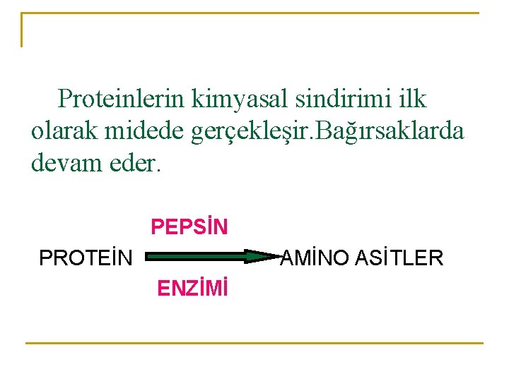 Proteinlerin kimyasal sindirimi ilk olarak midede gerçekleşir. Bağırsaklarda devam eder. PEPSİN PROTEİN AMİNO ASİTLER