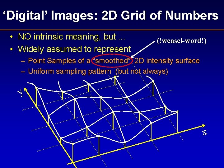 ‘Digital’ Images: 2 D Grid of Numbers • NO intrinsic meaning, but. . . ‘Digital’ Images: 2 D Grid of Numbers • NO intrinsic meaning, but. . .