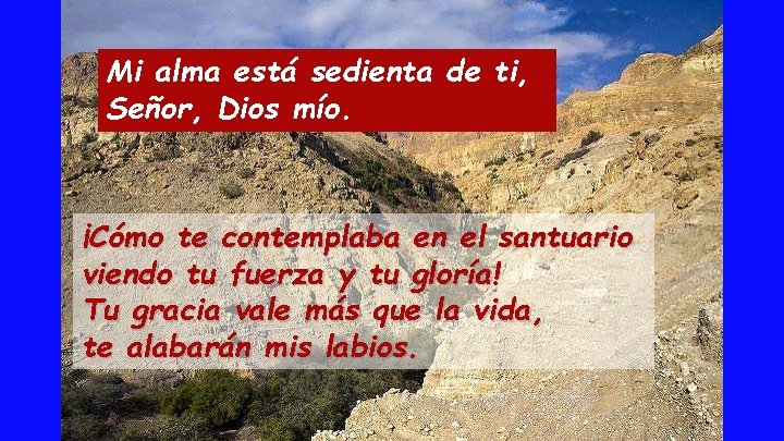 Mi alma está sedienta de ti, Señor, Dios mío. ¡Cómo te contemplaba en el