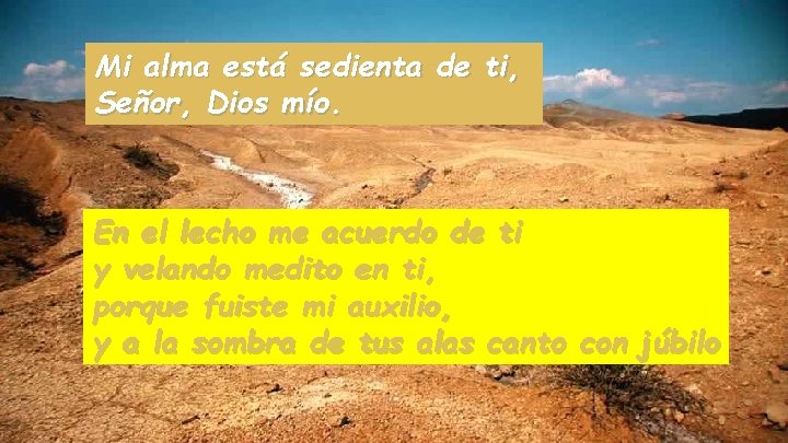 Mi alma está sedienta de ti, Señor, Dios mío. En el lecho me acuerdo