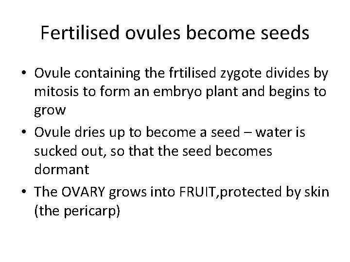 Fertilised ovules become seeds • Ovule containing the frtilised zygote divides by mitosis to