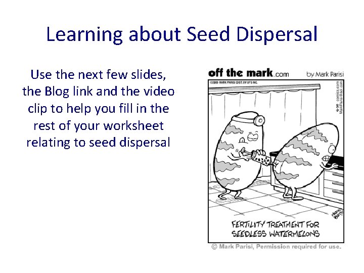 Learning about Seed Dispersal Use the next few slides, the Blog link and the