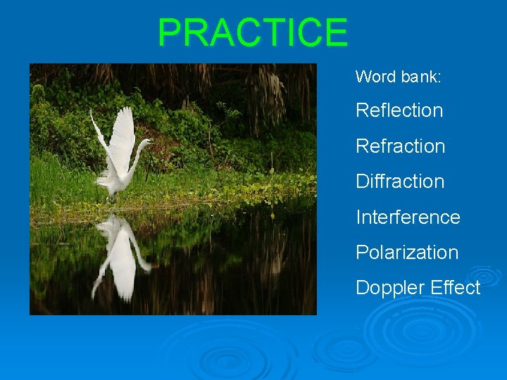 PRACTICE Word bank: Reflection Refraction Diffraction Interference Polarization Doppler Effect 