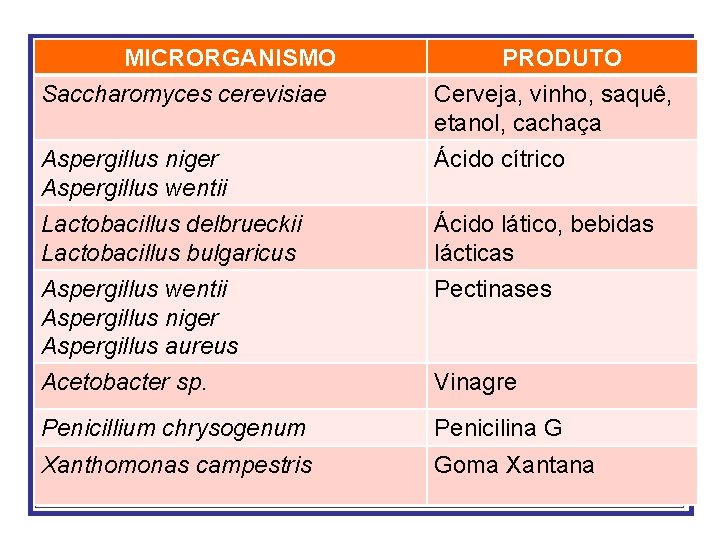 microrganismos-de-interesse-industrial-muitos-produtos-qumicos-alimentos
