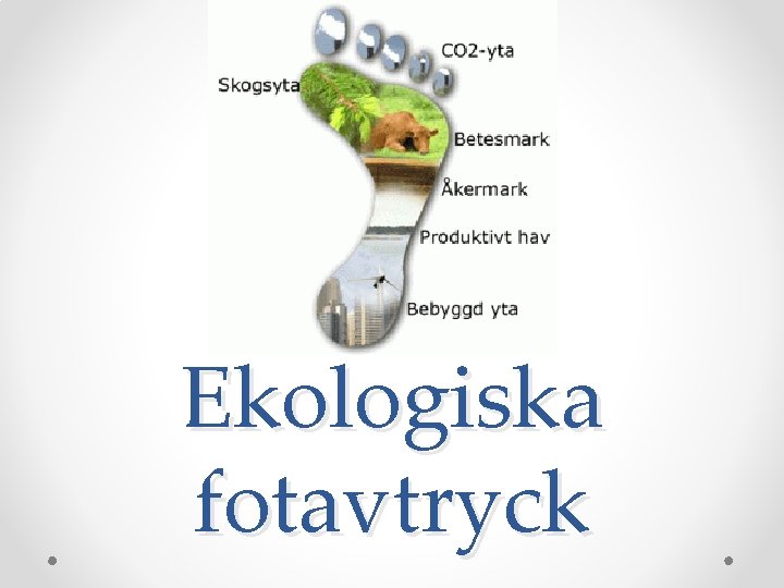 Ekologiska fotavtryck 