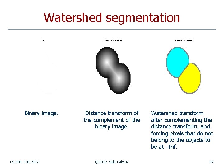 Watershed segmentation Binary image. CS 484, Fall 2012 Distance transform of the complement of