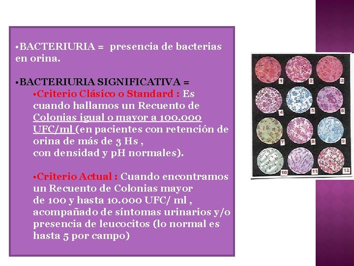  • BACTERIURIA = presencia de bacterias en orina. • BACTERIURIA SIGNIFICATIVA = •