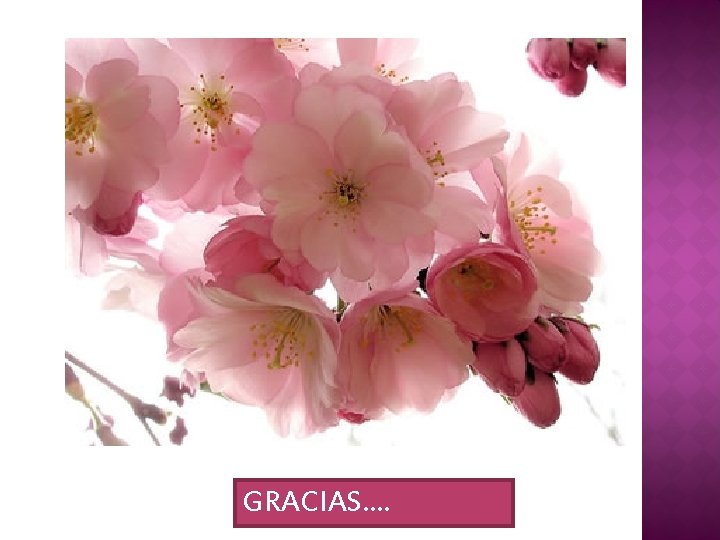 GRACIAS…. 