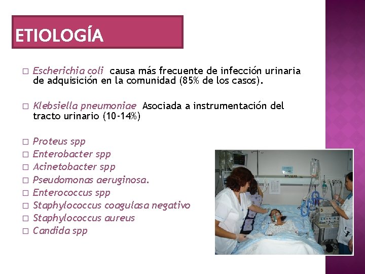 ETIOLOGÍA � Escherichia coli causa más frecuente de infección urinaria de adquisición en la