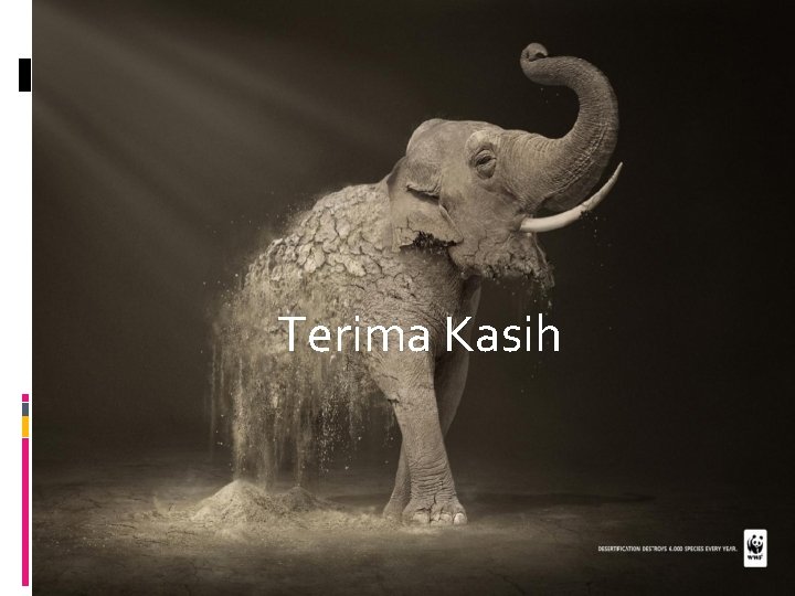 Terima Kasih 