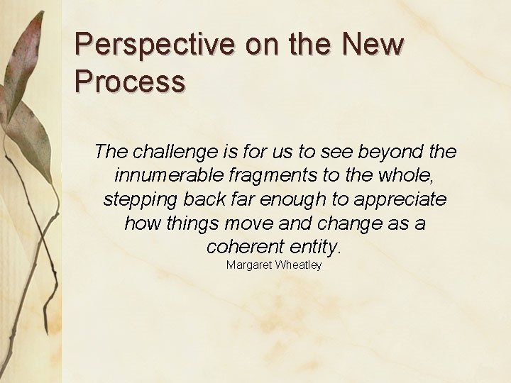 Perspective on the New Process The challenge is for us to see beyond the