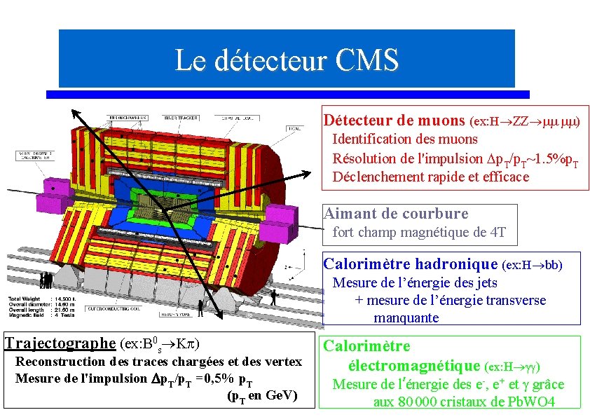 Le détecteur CMS Détecteur de muons (ex: H ZZ mm mm) Identification des muons