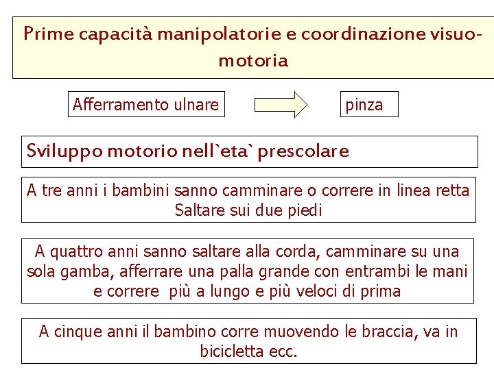 Prime capacità manipolatorie e coordinazione visuomotoria Afferramento ulnare pinza Sviluppo motorio nell`eta` prescolare A