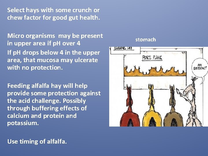 Select hays with some crunch or chew factor for good gut health. Micro organisms