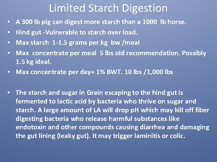 Limited Starch Digestion A 300 lb pig can digest more starch than a 1000