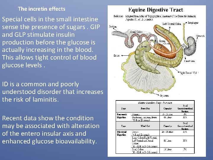 The incretin effects Special cells in the small intestine sense the presence of sugars.