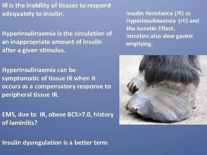 IR is the inability of tissues to respond adequately to insulin. Hyperinsulinaemia is the IR is the inability of tissues to respond adequately to insulin. Hyperinsulinaemia is the