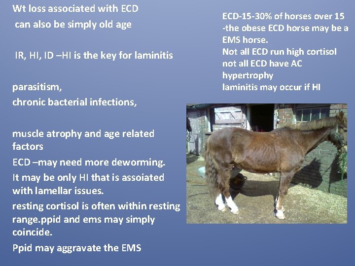 Wt loss associated with ECD can also be simply old age IR, HI, ID Wt loss associated with ECD can also be simply old age IR, HI, ID