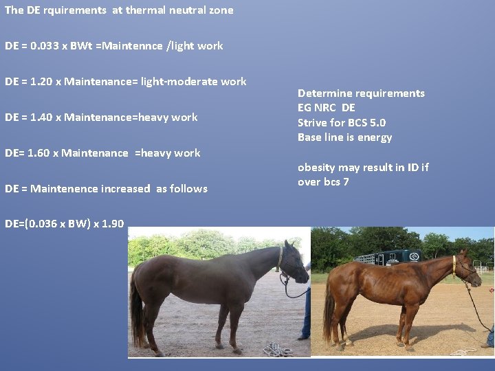 The DE rquirements at thermal neutral zone DE = 0. 033 x BWt =Maintennce The DE rquirements at thermal neutral zone DE = 0. 033 x BWt =Maintennce