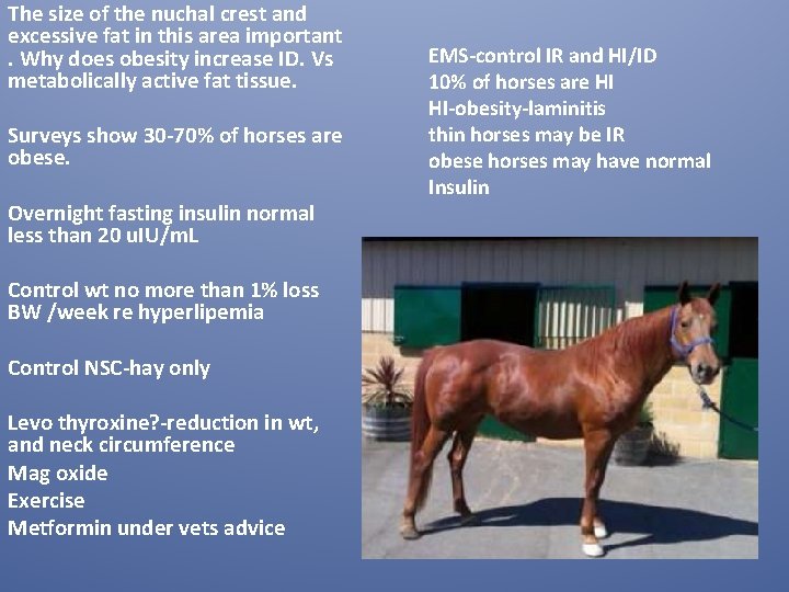 The size of the nuchal crest and excessive fat in this area important. Why The size of the nuchal crest and excessive fat in this area important. Why