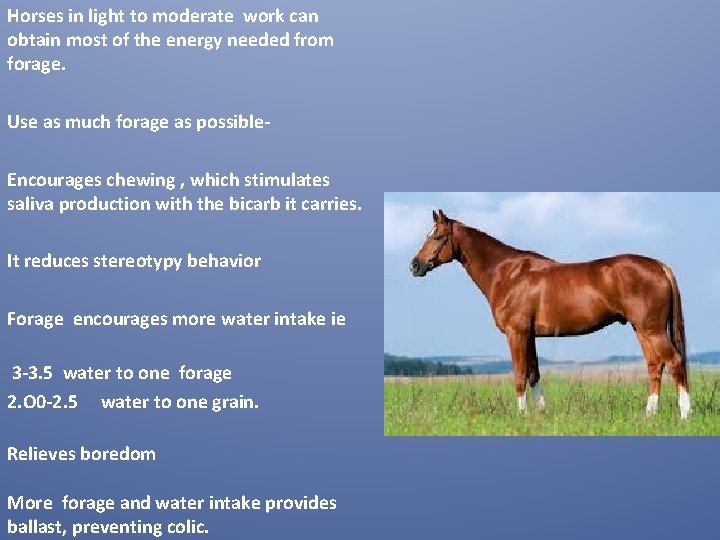 Horses in light to moderate work can obtain most of the energy needed from