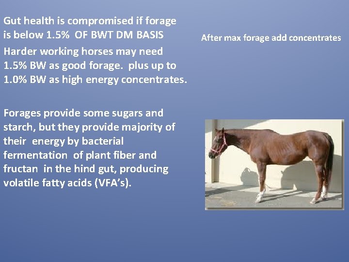 Gut health is compromised if forage is below 1. 5% OF BWT DM BASIS