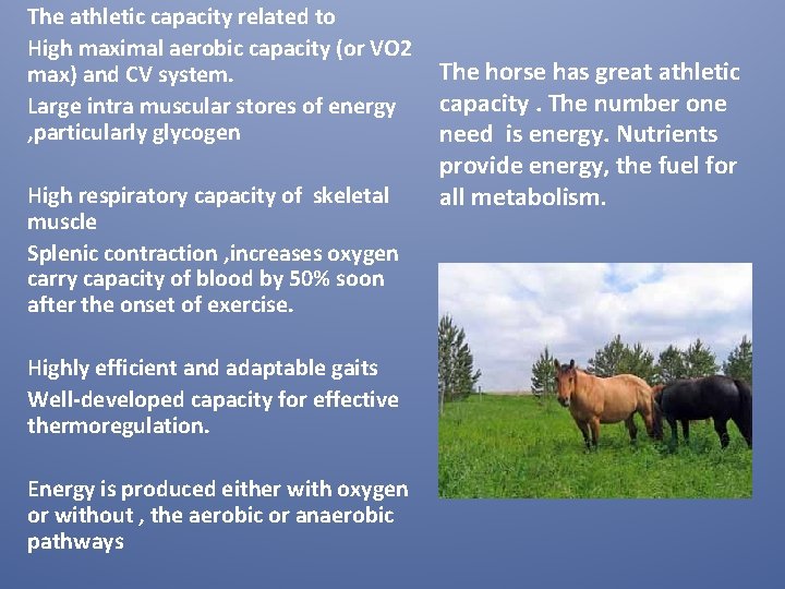 The athletic capacity related to High maximal aerobic capacity (or VO 2 max) and