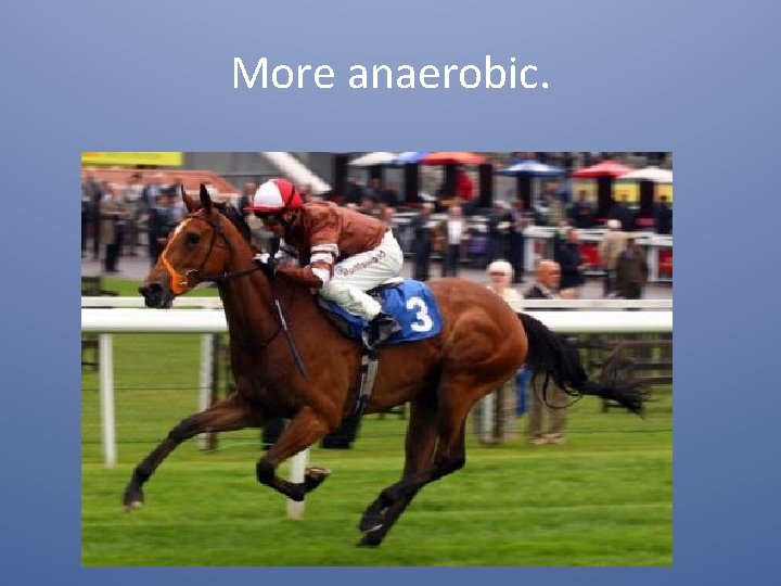More anaerobic. More anaerobic.