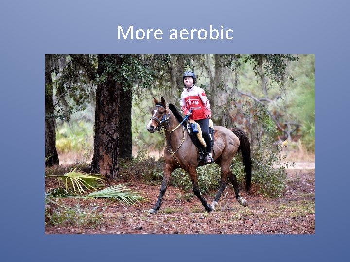 More aerobic 