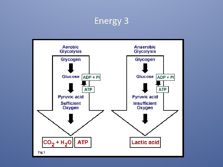 Energy 3 