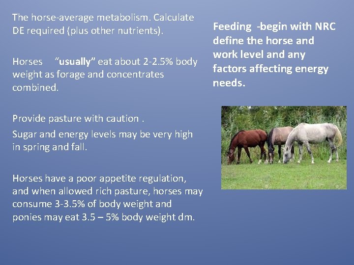 The horse-average metabolism. Calculate DE required (plus other nutrients). Horses “usually” eat about 2