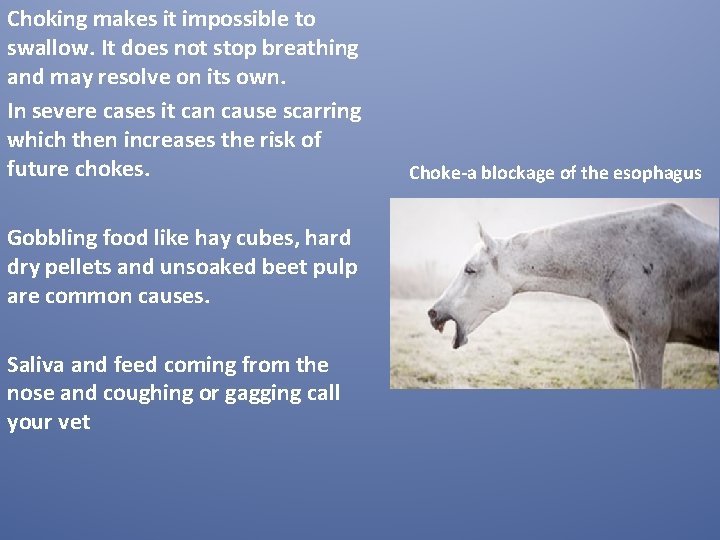 Choking makes it impossible to swallow. It does not stop breathing and may resolve Choking makes it impossible to swallow. It does not stop breathing and may resolve