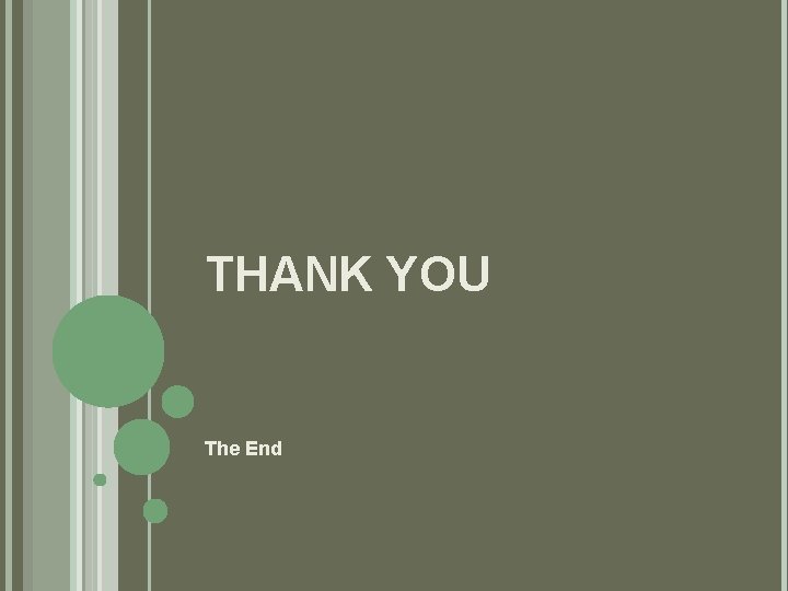 THANK YOU The End 