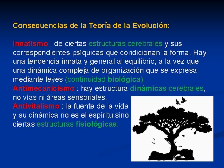 Consecuencias de la Teoría de la Evolución: Innatismo : de ciertas estructuras cerebrales y