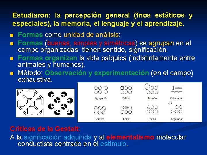 Estudiaron: la percepción general (fnos estáticos y especiales), la memoria, el lenguaje y el