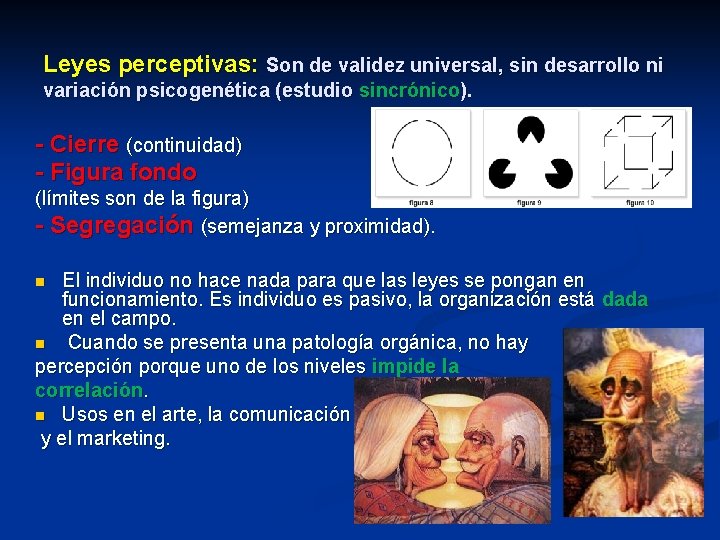 Leyes perceptivas: Son de validez universal, sin desarrollo ni variación psicogenética (estudio sincrónico). -