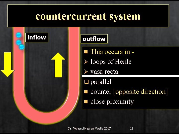 countercurrent system inflow outflow This occurs in: Ø loops of Henle Ø vasa recta