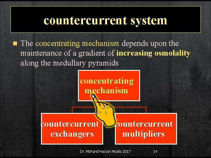 countercurrent system n The concentrating mechanism depends upon the maintenance of a gradient of