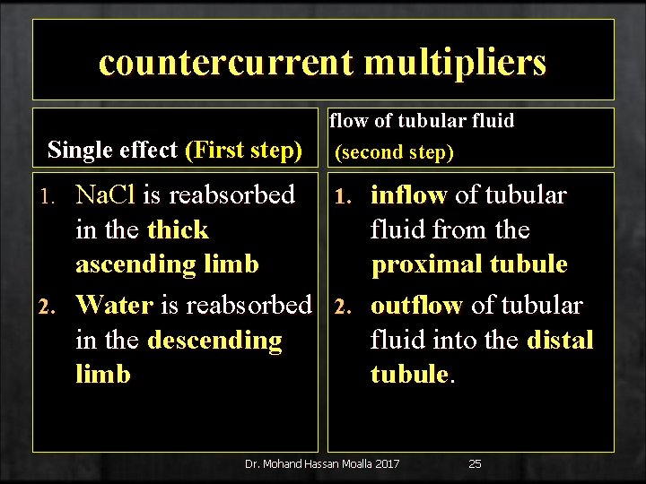 countercurrent multipliers Single effect (First step) flow of tubular fluid (second step) Na. Cl