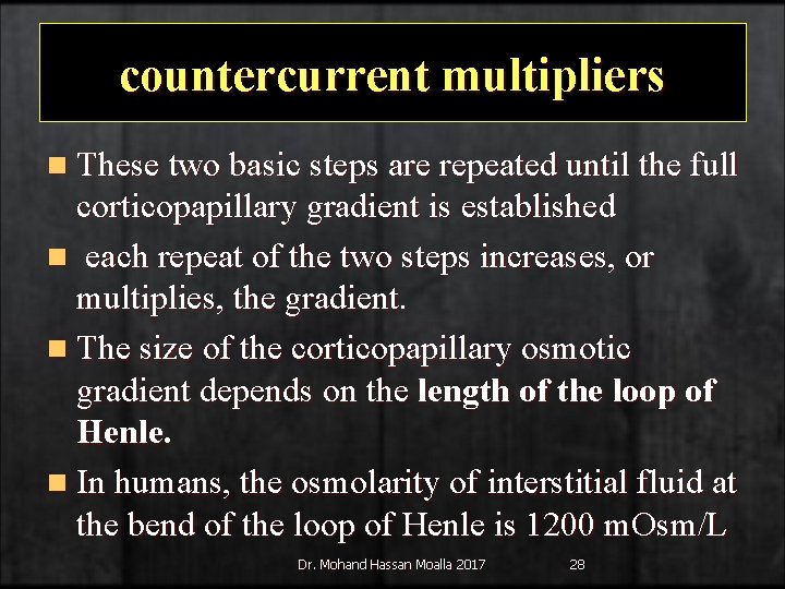 countercurrent multipliers n These two basic steps are repeated until the full corticopapillary gradient