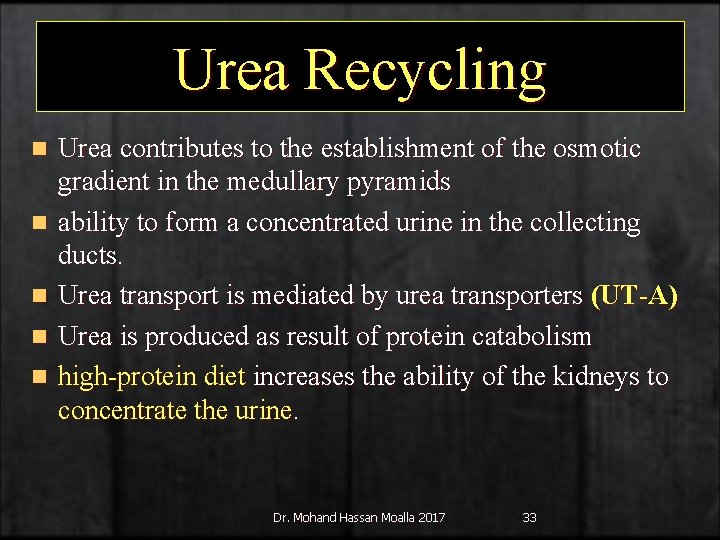 Urea Recycling n n n Urea contributes to the establishment of the osmotic gradient