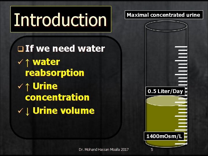 Introduction Maximal concentrated urine q If we need water ü ↑ water reabsorption ü