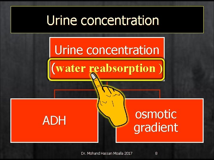 Urine concentration (water reabsorption ) osmotic gradient ADH Dr. Mohand Hassan Moalla 2017 8