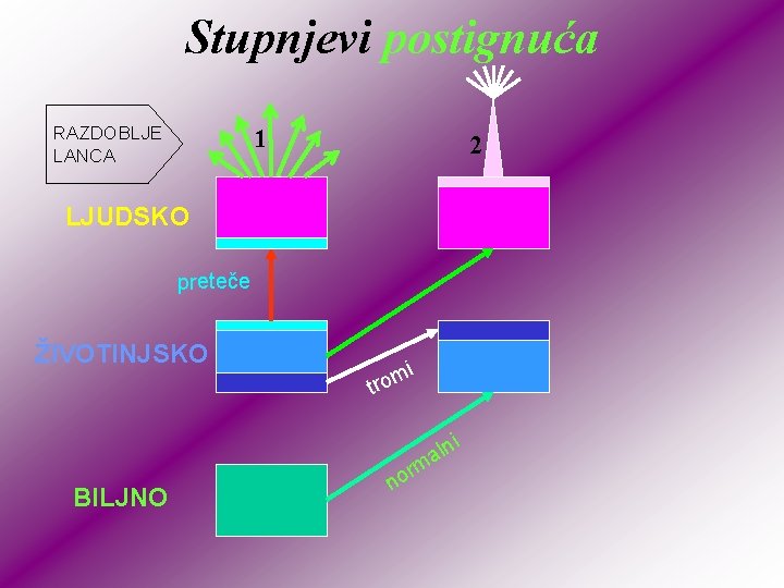 Stupnjevi postignuća RAZDOBLJE LANCA 1 2 LJUDSKO preteče ŽIVOTINJSKO BILJNO i m tro rm