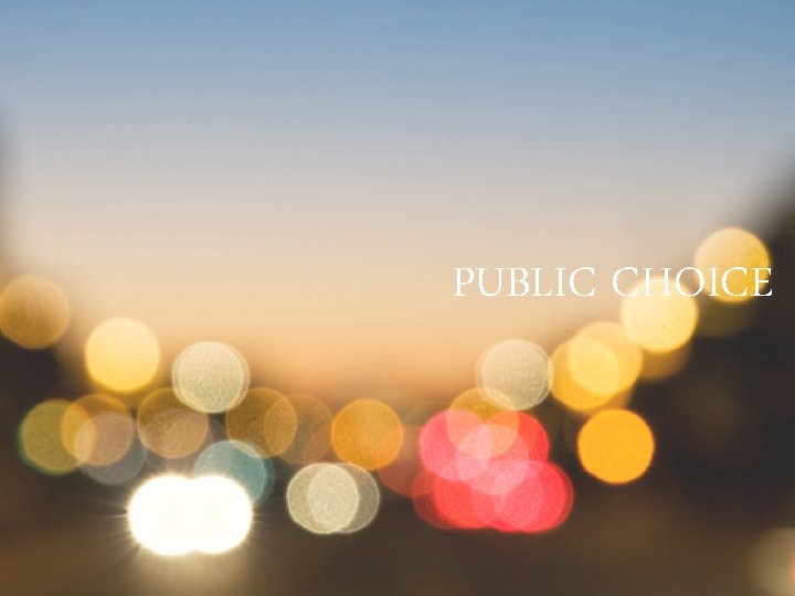 PUBLIC CHOICE 