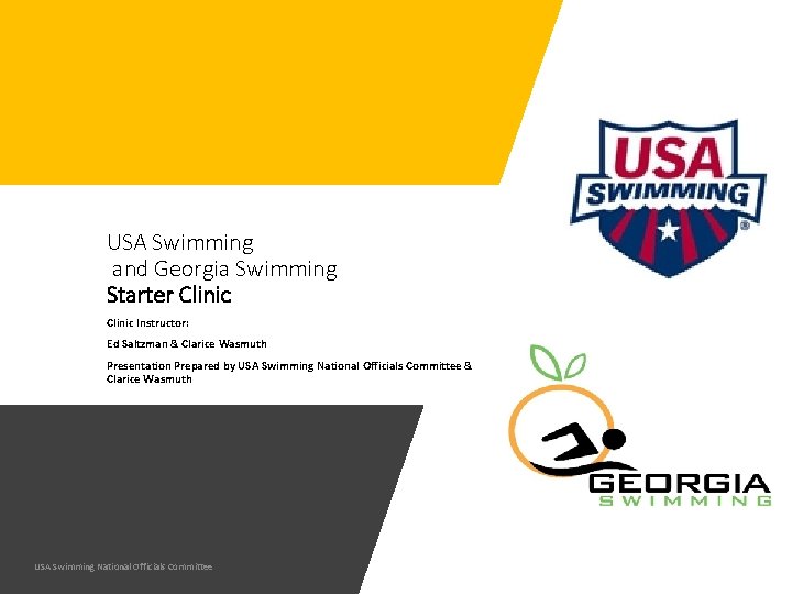 USA Swimming and Georgia Swimming Starter Clinic Instructor: Ed Saltzman & Clarice Wasmuth Presentation