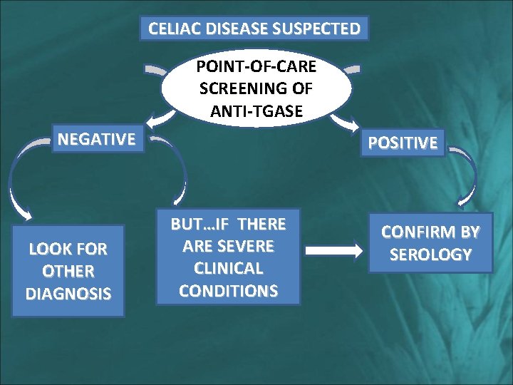 CELIAC DISEASE SUSPECTED POINT-OF-CARE SCREENING OF ANTI-TGASE NEGATIVE LOOK FOR OTHER DIAGNOSIS POSITIVE BUT…IF